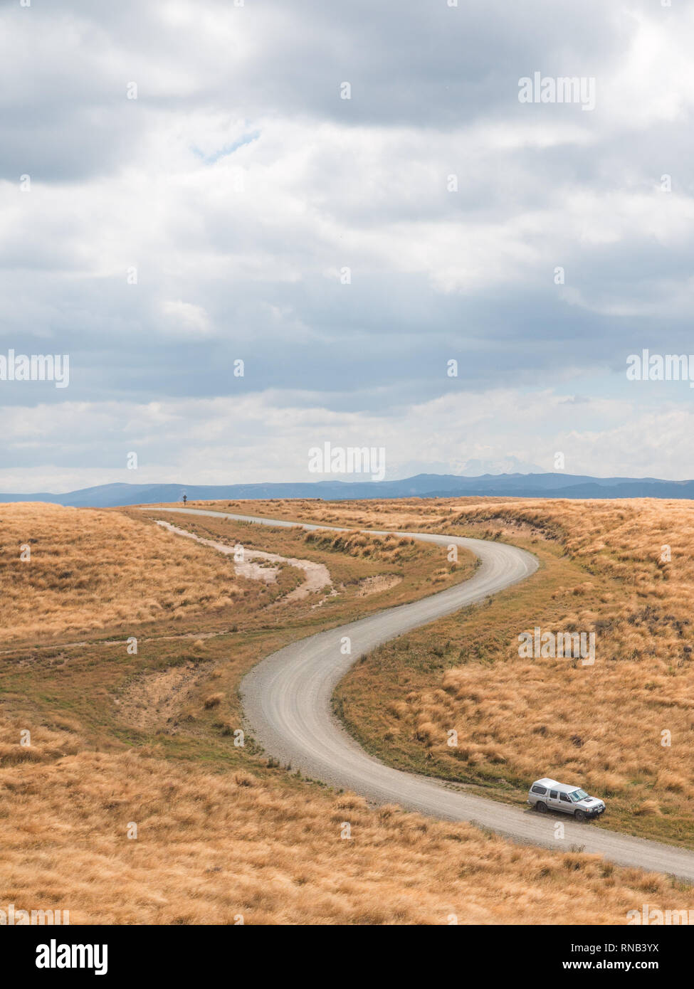 Gewundene Straße durch tussock Land auf Ngamatea Station, Inland Mokai Patea, Central North Island, Neuseeland Stockfoto