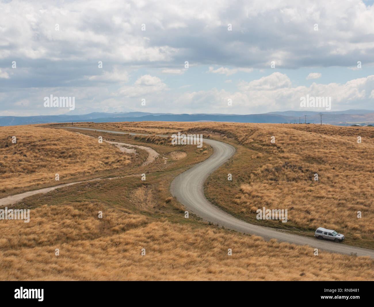 Gewundene Straße durch tussock Land auf Ngamatea Station, Inland Mokai Patea, Central North Island, Neuseeland Stockfoto