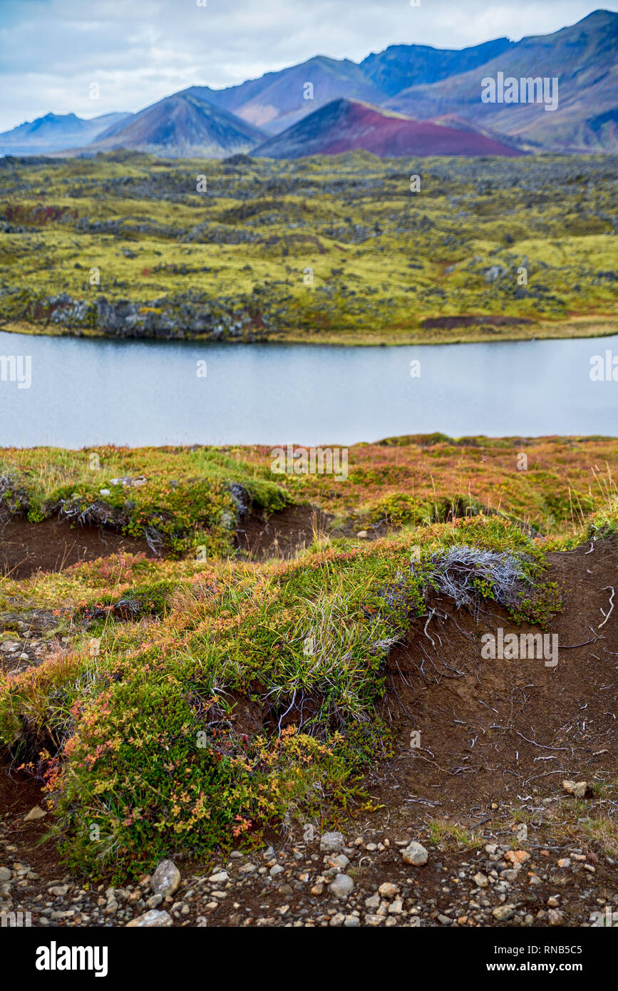 Wunder und den Farben der wunderschönen Island Stockfoto