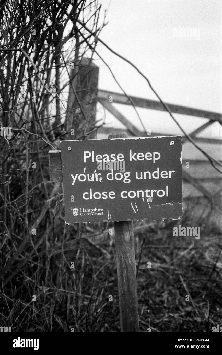 Bitte geben Sie ihren Hund unter Kontrolle halten, Zeichen, Straße, Hattingley Medstead, Alton, Hampshire, England, Vereinigtes Königreich. Stockfoto