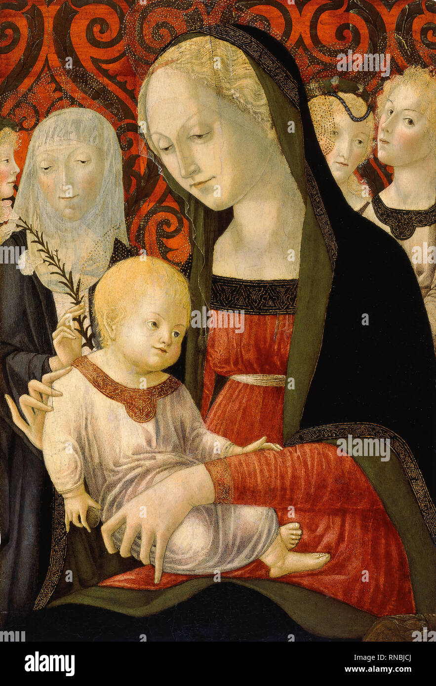 Francesco di Giorgio Martini (Siena, 1439-1501). Die Jungfrau und Kind mit der hl. Katharina von Siena und Engel (Ca. 1490). Mischtechnik auf Systemsteuerung. 62 x 42 cm. Museum: Museu Nacional d'Art de Catalunya (MNAC). Stockfoto