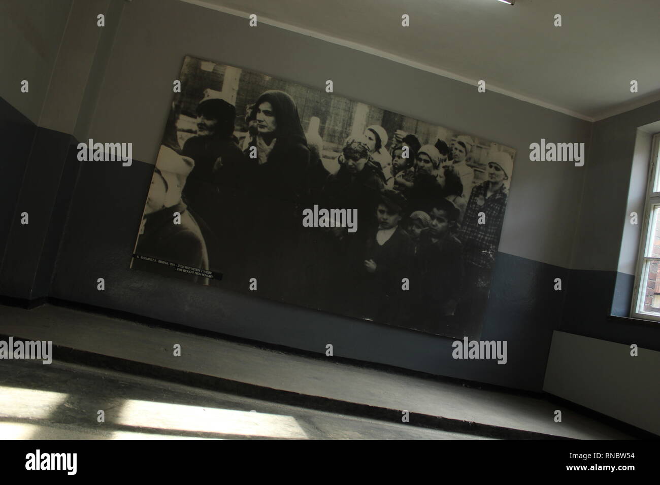Birkenau Auschwitz Poster von Frauen und Kindern Stockfoto