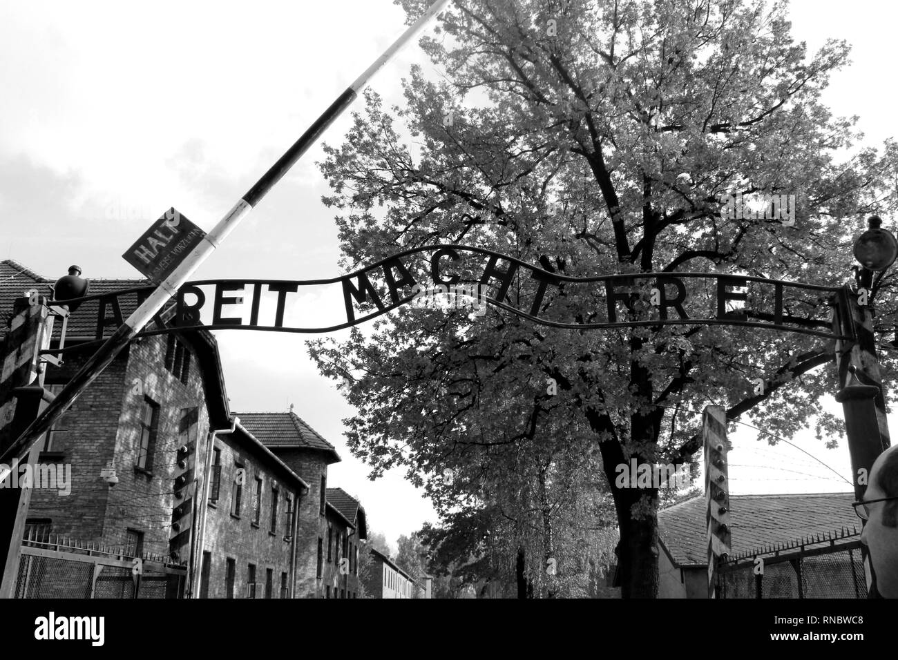 Auschwitz concentration camp SchwarzweißStockfotos und bilder Alamy