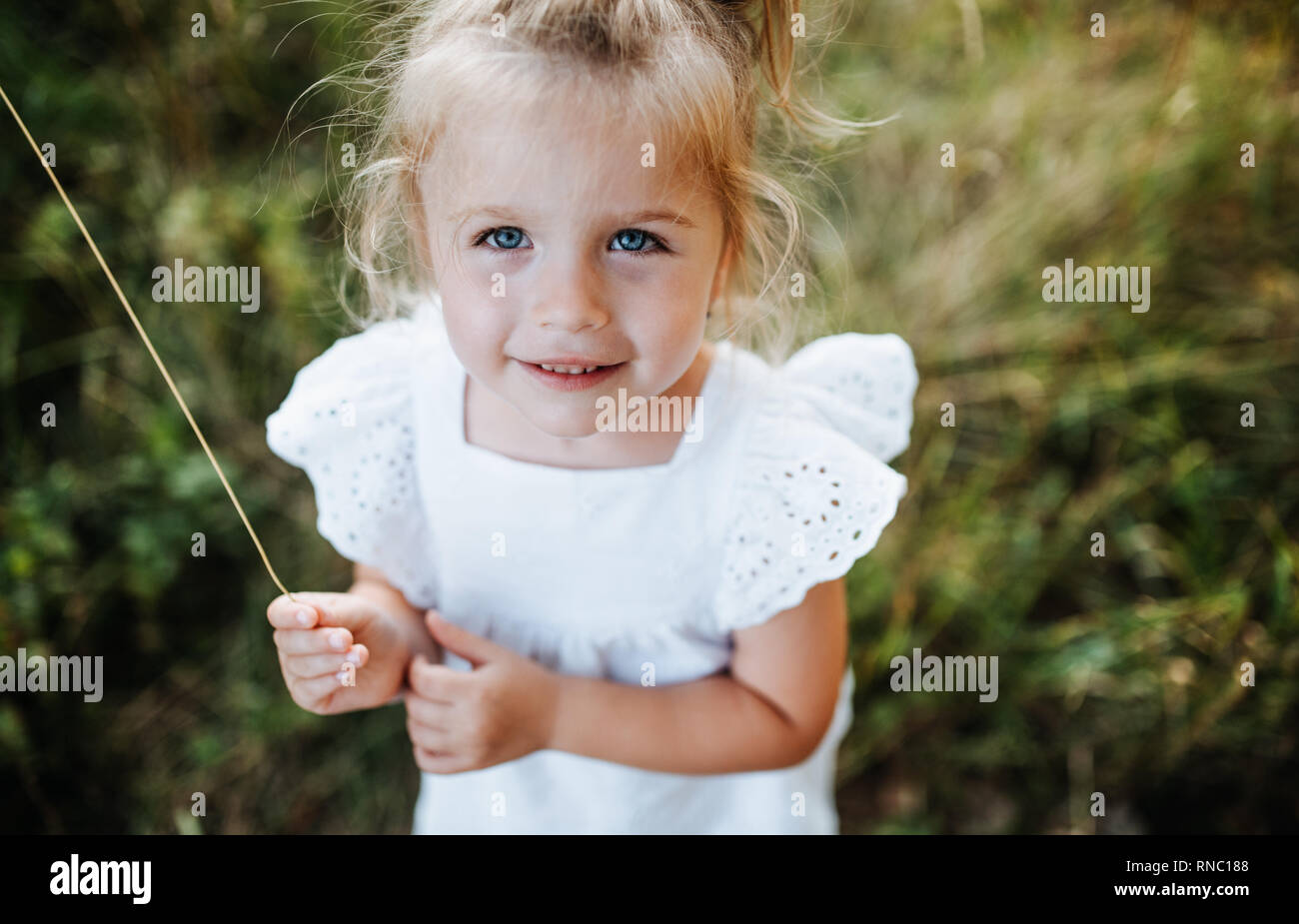Ein Porträt der kleinen Mädchen im sonnigen Sommer Natur. Stockfoto