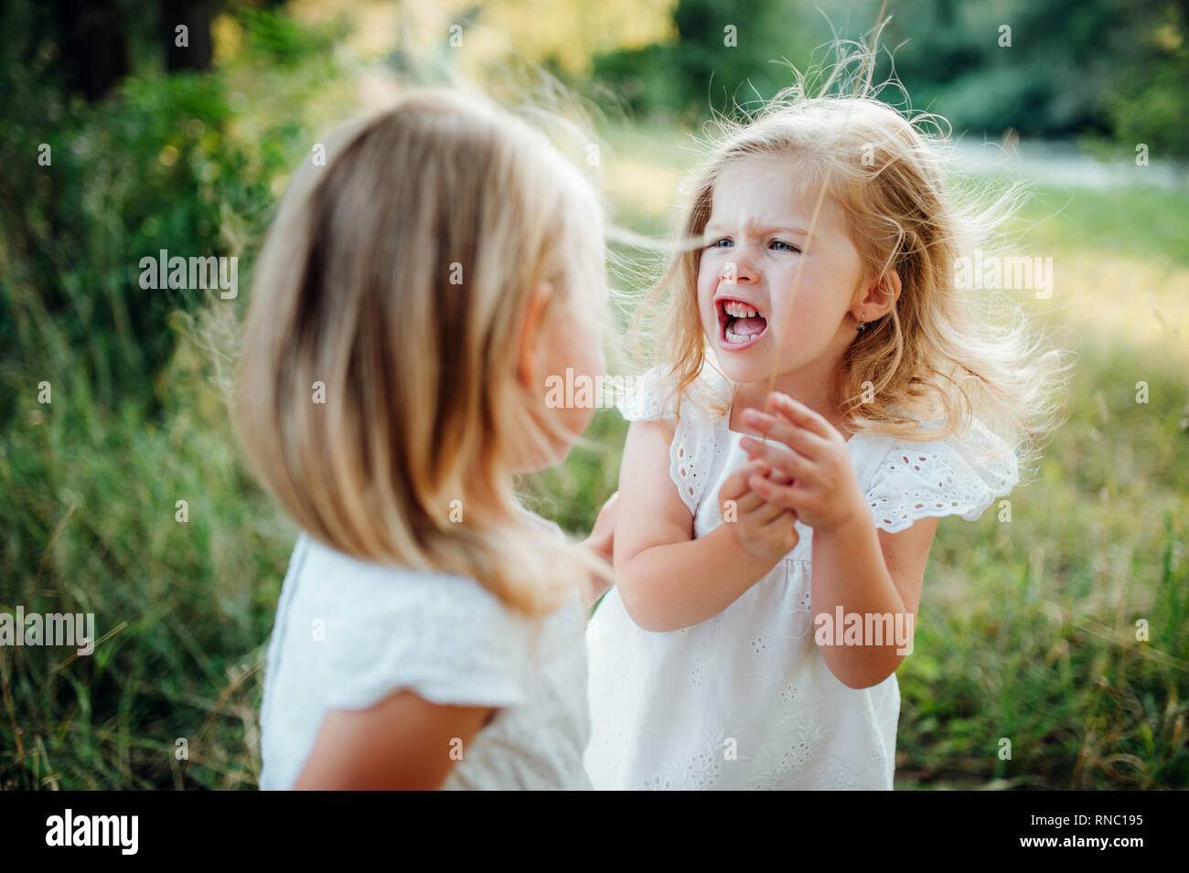 Zwei kleine böse Mädchen Freunde oder Schwester draußen im sonnigen Sommer Natur, streiten. Stockfoto