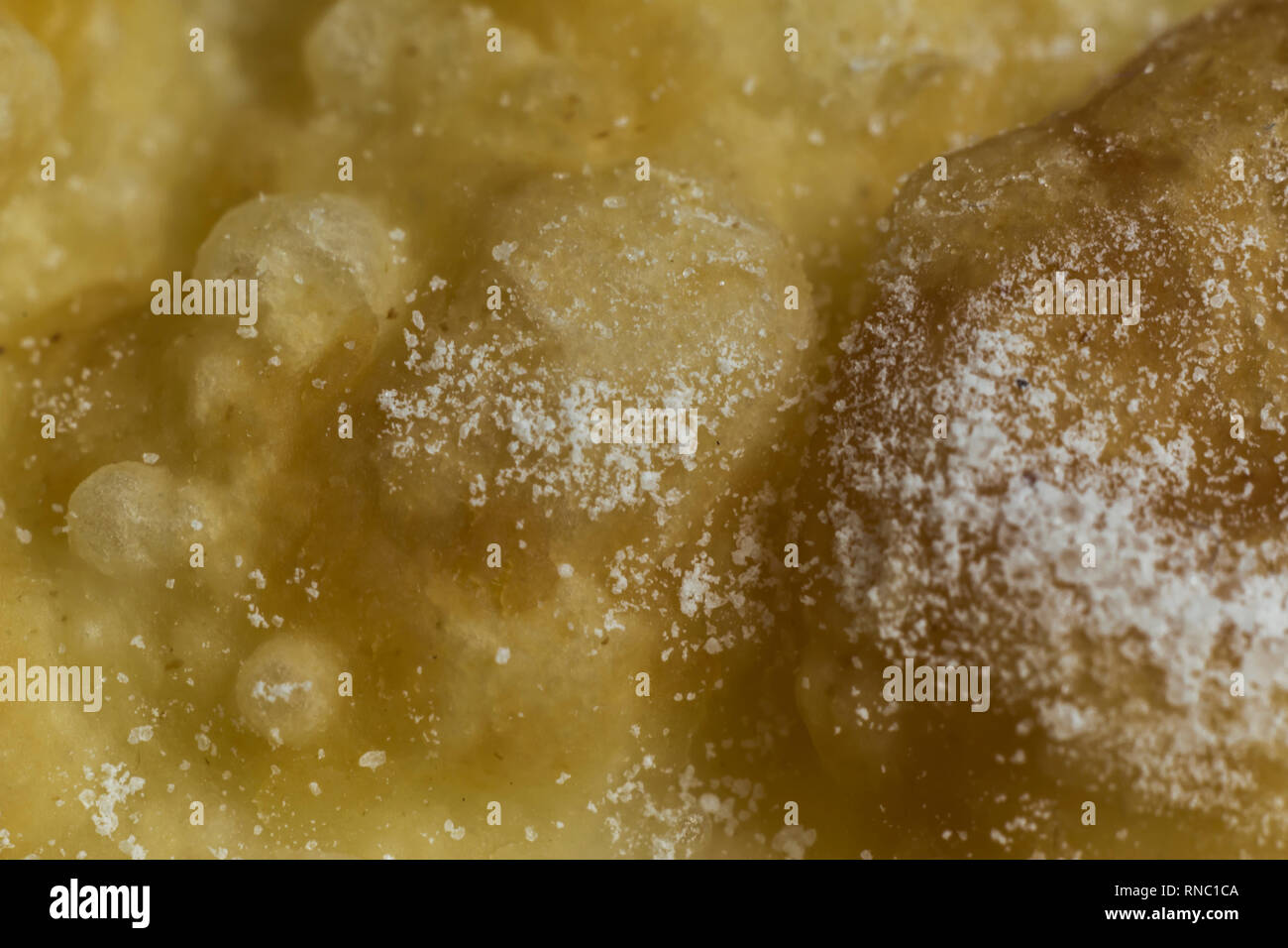 Macrophoto. Europäische dessert Angel Wings. Interessante Tech Tour frittierte Teig Streifen mit Puderzucker. Site über die Küche, Gebäck, Süßigkeiten. Stockfoto