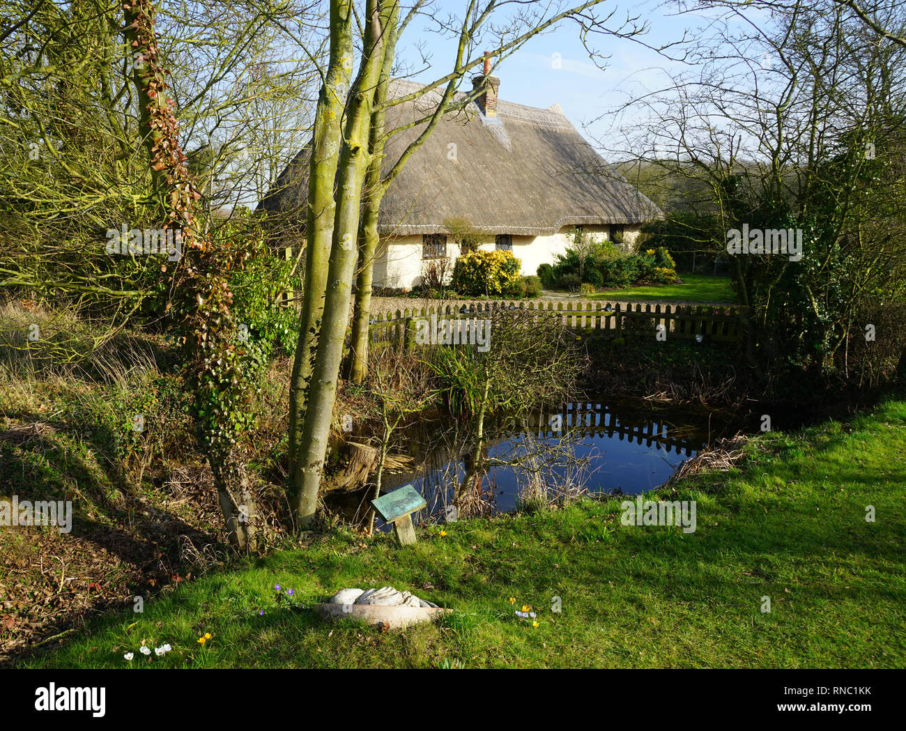 Schaltfläche Snap, Cherry Green, Hertfordshire Stockfoto