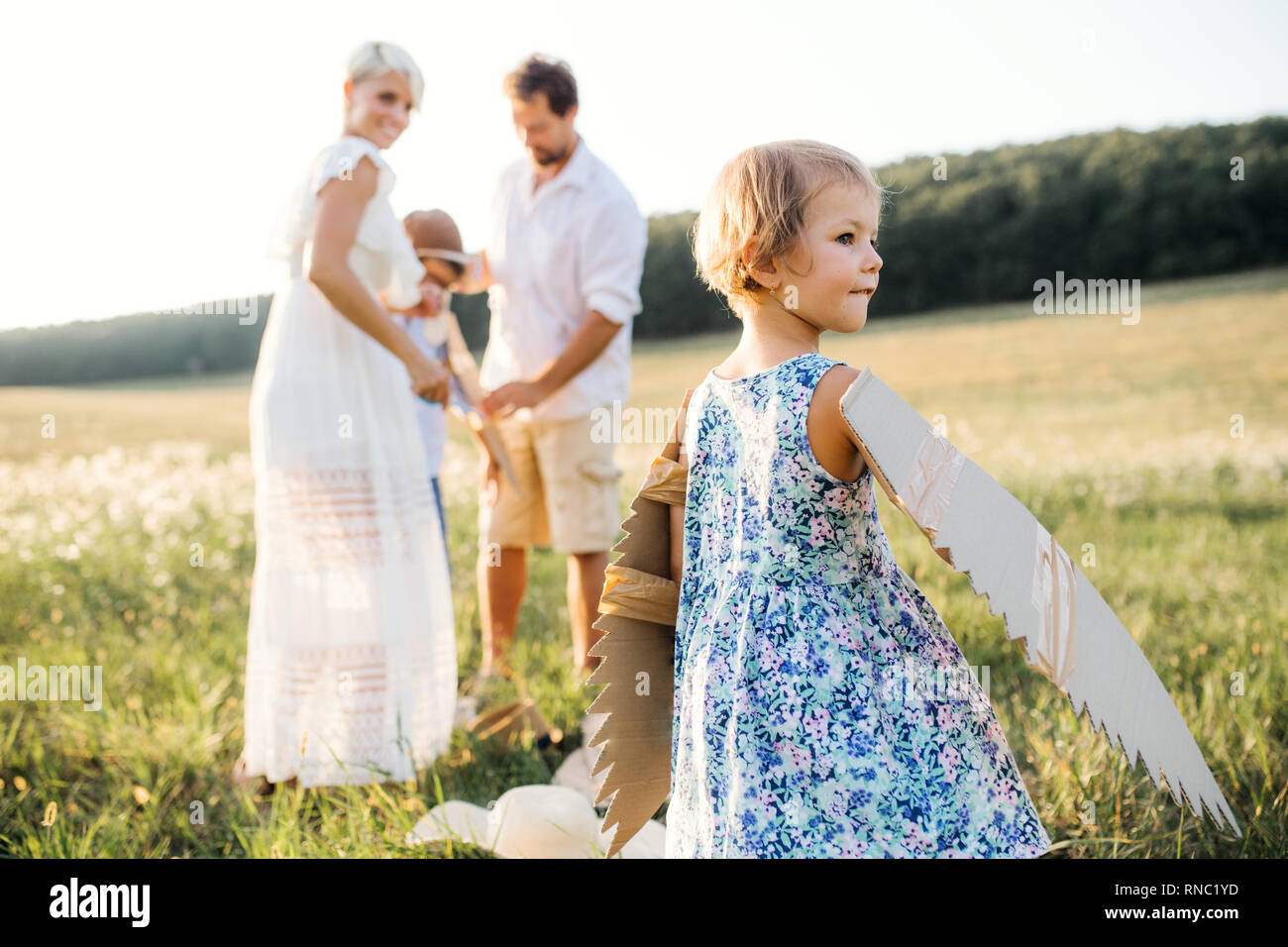 Junge Familien mit kleinen Kindern das Spielen auf einer Wiese in der Natur. Stockfoto