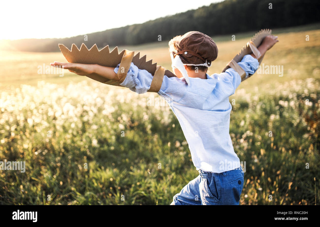 Ein kleiner Junge spielt auf einer Wiese in der Natur, mit Schutzbrille und Flügeln wie wenn Fliegen. Stockfoto