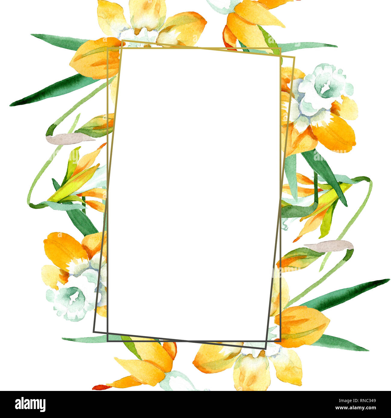 Gelbe Narzissen Blumen botanischen Blume. Aquarell Hintergrund Abbildung. Rahmenlinie ornament Quadrat. Stockfoto