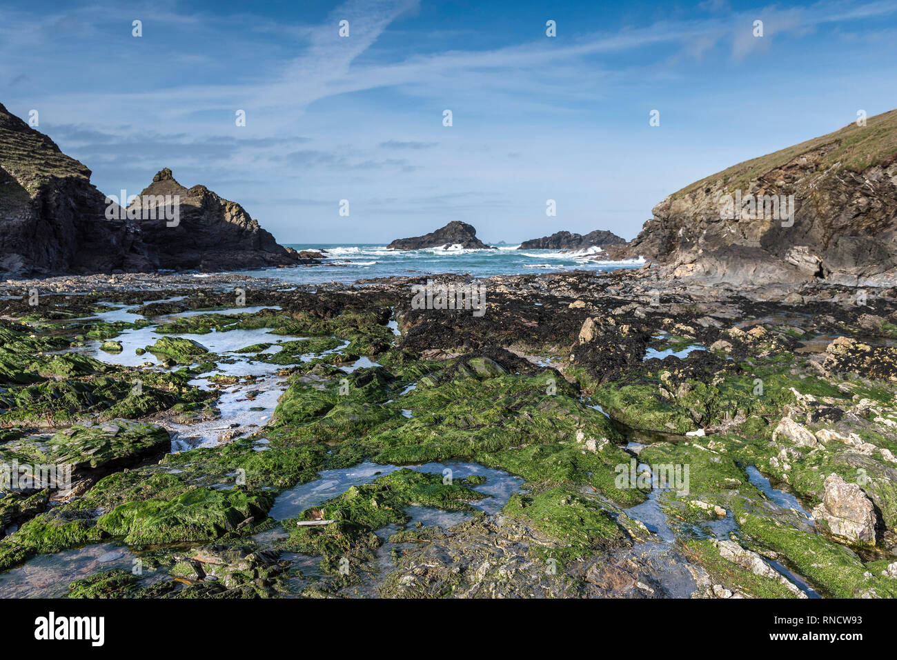 Rock Pools bei Ebbe in der abgeschiedenen Porth Mear Bucht an der Küste von North Cornwall. Stockfoto