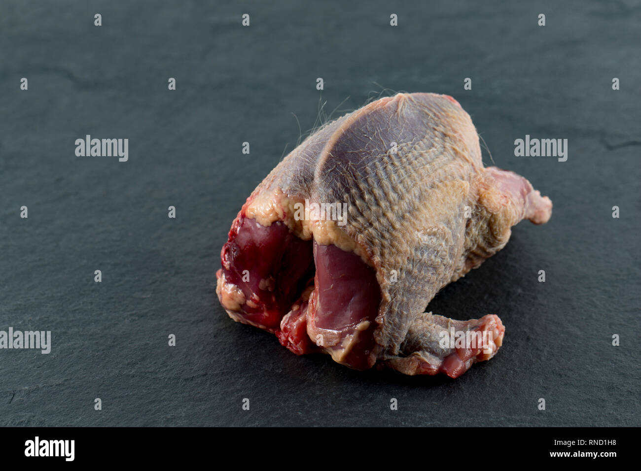 Eine einzelne, gerupft und vorbereitet ungekocht woodpigeon fotografiert auf einem dunklen, Schiefer Hintergrund. Die woodpigeon, Columba Palumbus, ist einer der am meisten in Großbritannien Stockfoto