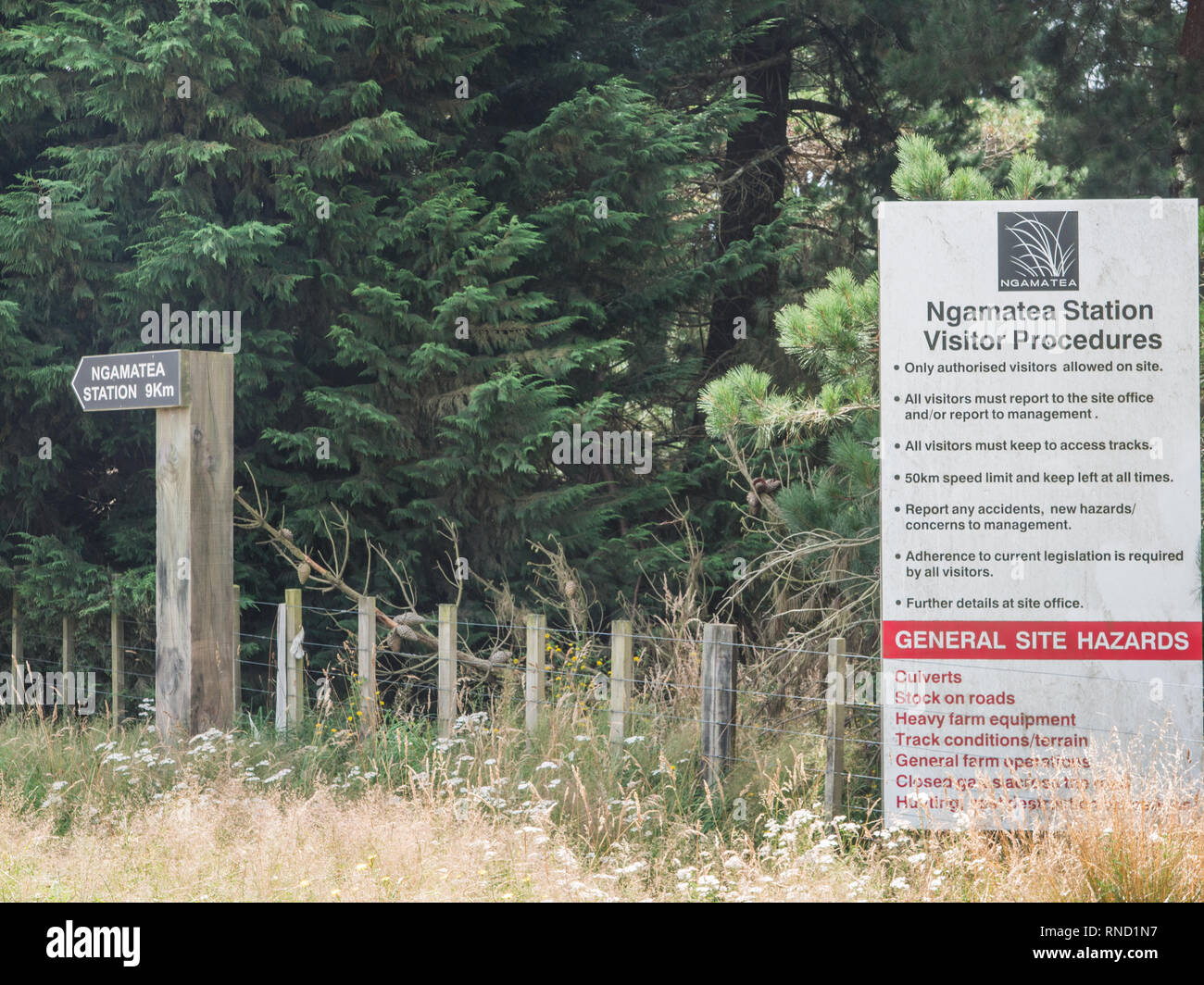 Ngamatea Station, Taihape Napier Road, Inland Mokai Patea, Central North Island, Neuseeland Stockfoto