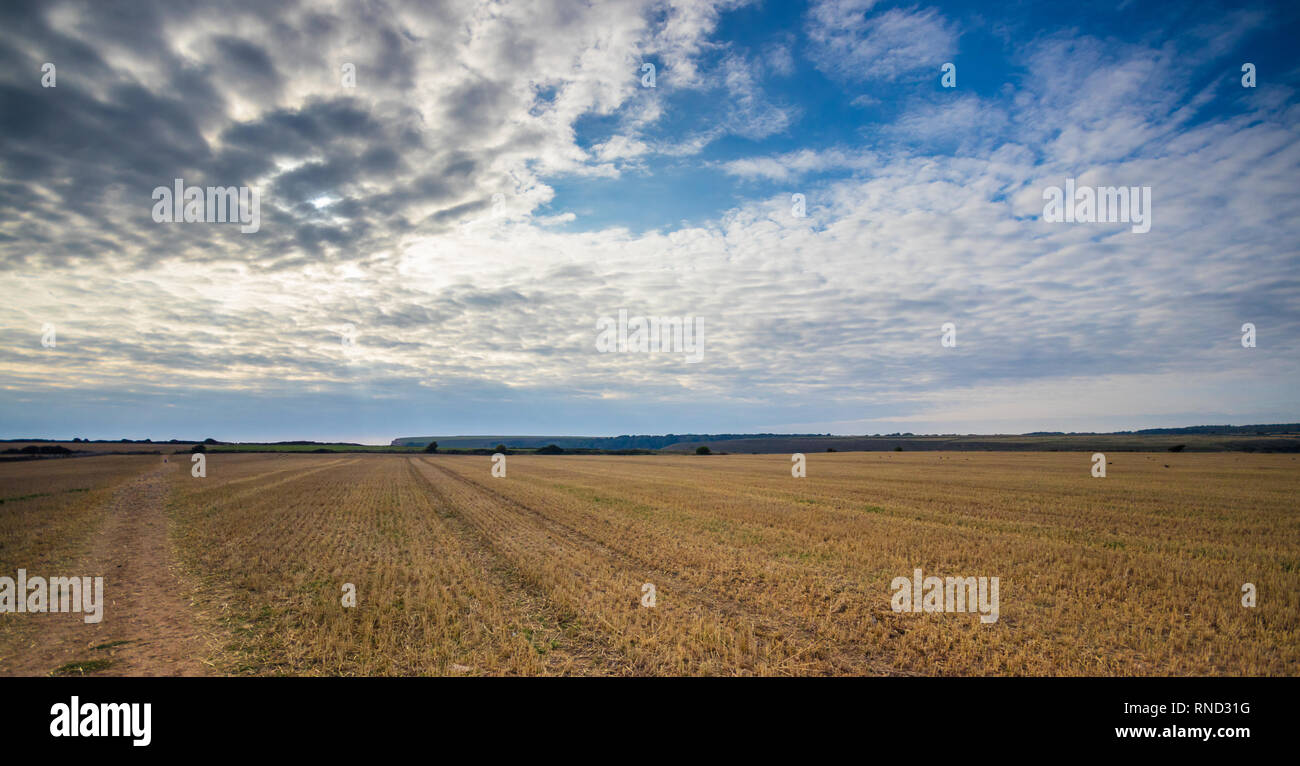 Chapmans Pool, Dorset, Großbritannien Stockfoto