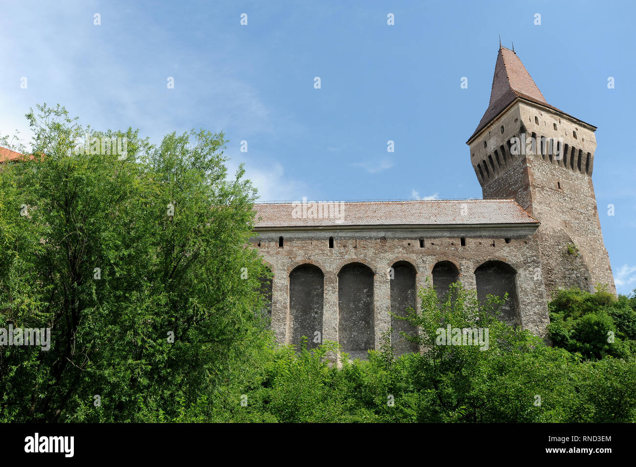 Gothic-Renaissance Castelul Corvinilor (Corvin Schloss) im XV Jahrhundert von János Hunyadi und umgebaut von ungarischen König Matthias Corvinus und Gabrie Stockfoto