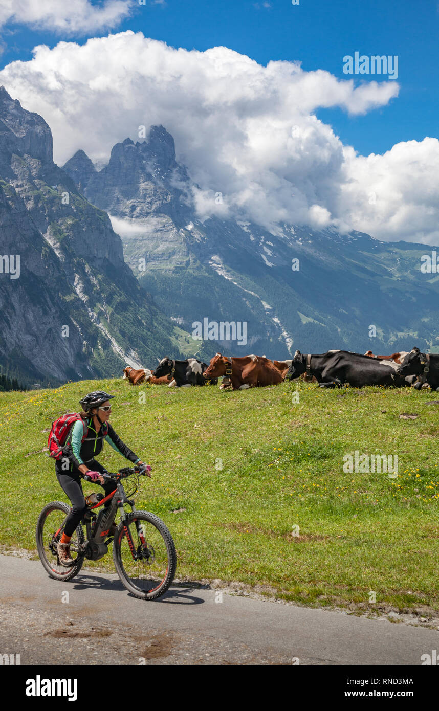 Schön und immer jung Senior Frau reiten Ihr e-mountainbike unterhalb der Eiger Nordwand, Grindelwald, Berner Oberland, Schweiz Stockfoto