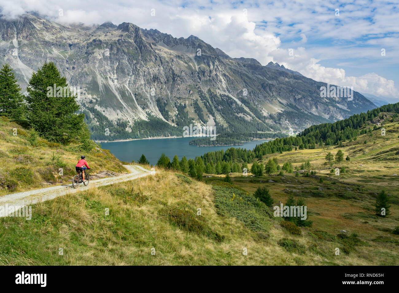Ältere Frau, Reiten hier e-Mountainbike auf der berühmten Wanderwege rund um die Seen im Oberengadin, zwischen St. Moritz und Maloja, Schweiz Stockfoto
