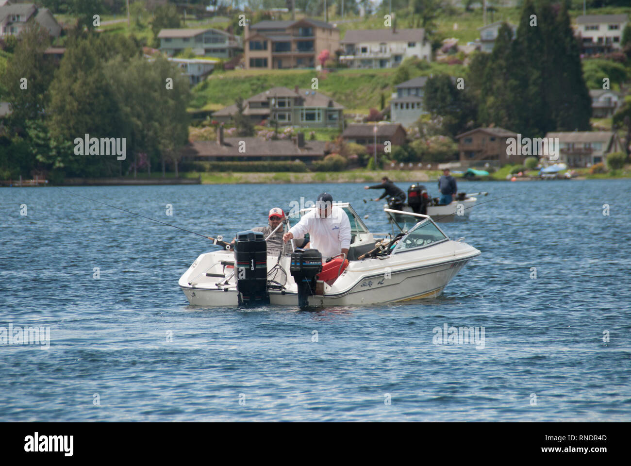 Kokanee, (Land gesperrt sockeye Lachse, Angeln in der jährlichen Lake Stevens, Washingdton Kokanee Derby Stockfoto