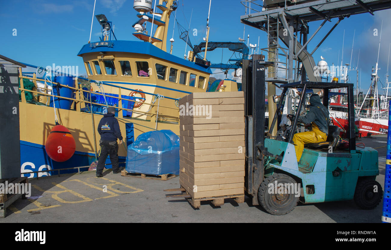 Stapler Entladen eines Trawlers am Kai. Union Halle West Cork Irland Stockfoto