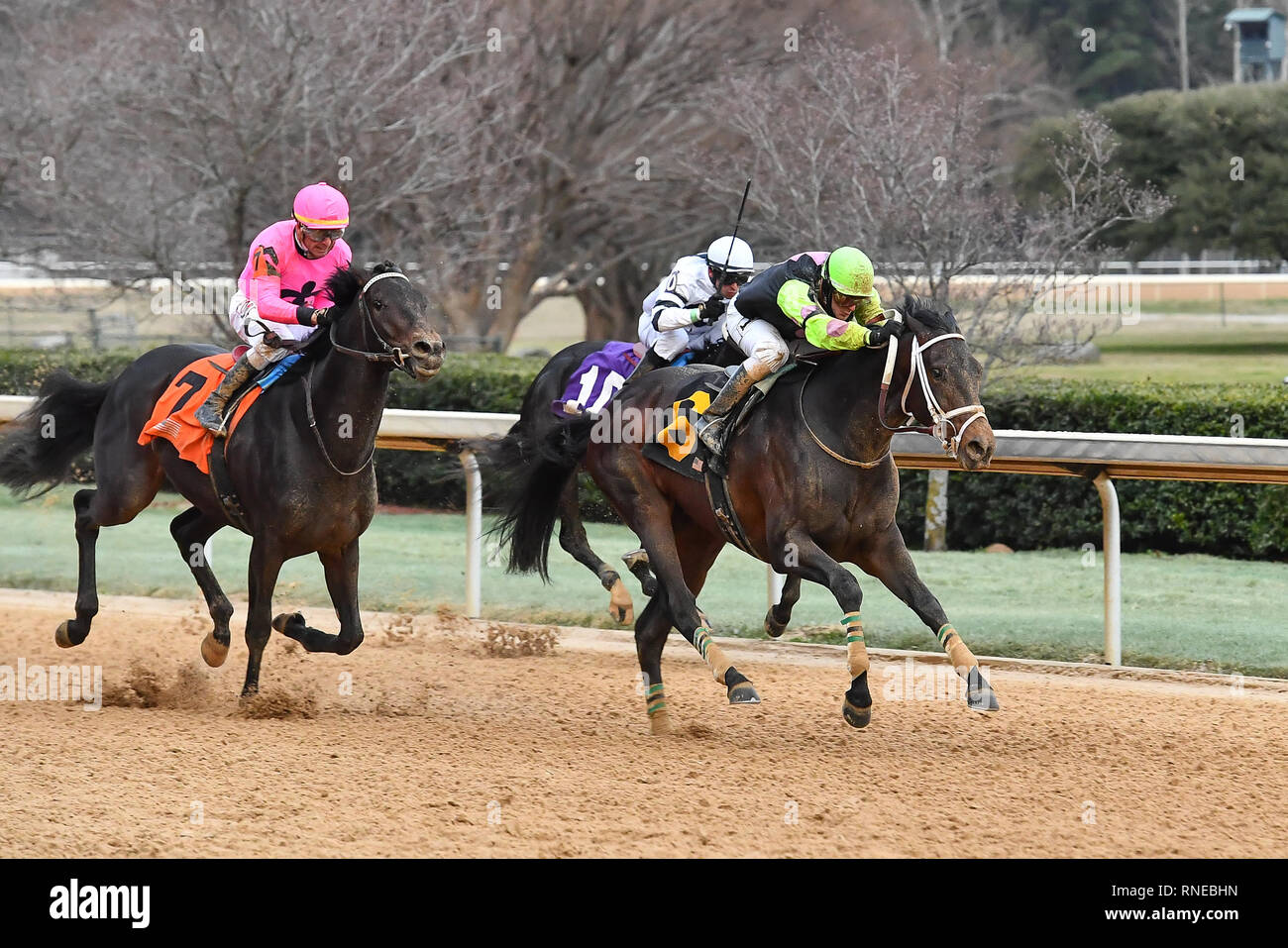 Hot Springs, Arkansas, USA. 18 Feb, 2019. Februar 18, 2019: #6 Super Pferd mit Jockey Terry J. Thompson gewinnt Südwesten Stakes Rennen in Oaklawn Park am 18. Februar 2019 in Hot Springs, Arkansas. (Foto von Ted McClenning/Eclipse/Cal Sportswire Sport Media) Credit: Csm/Alamy leben Nachrichten Stockfoto