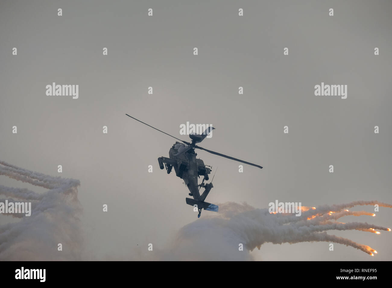 Abu Dhabi, VAE. 19 Feb, 2019. Demonstrationen an der IDEX 2019 in Abu Dhabi 3.Tag. IDEX ist die einzige internationale Ausstellung und Konferenz für Verteidigung in der MENA-Region Demonstration der neuesten Technologien in Land-, See- und Luftverkehr der Verteidigung. Credit: Fahd Khan/Live News Alamy Credit: Fahd Khan/Alamy leben Nachrichten Stockfoto