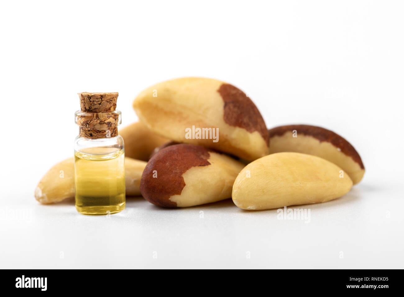 Paranussöl auf weißem Hintergrund Stockfoto
