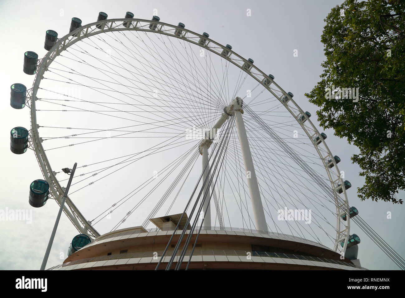 Singapore Flyer, das größte Riesenrad der Welt in Singapur Stockfoto