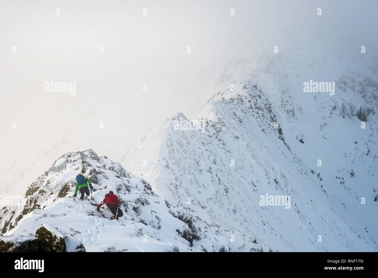 Bergsteiger auf Schreitenden Kante, Helvellyn, im Winter, Nationalpark Lake District, Cumbria, UK. Stockfoto