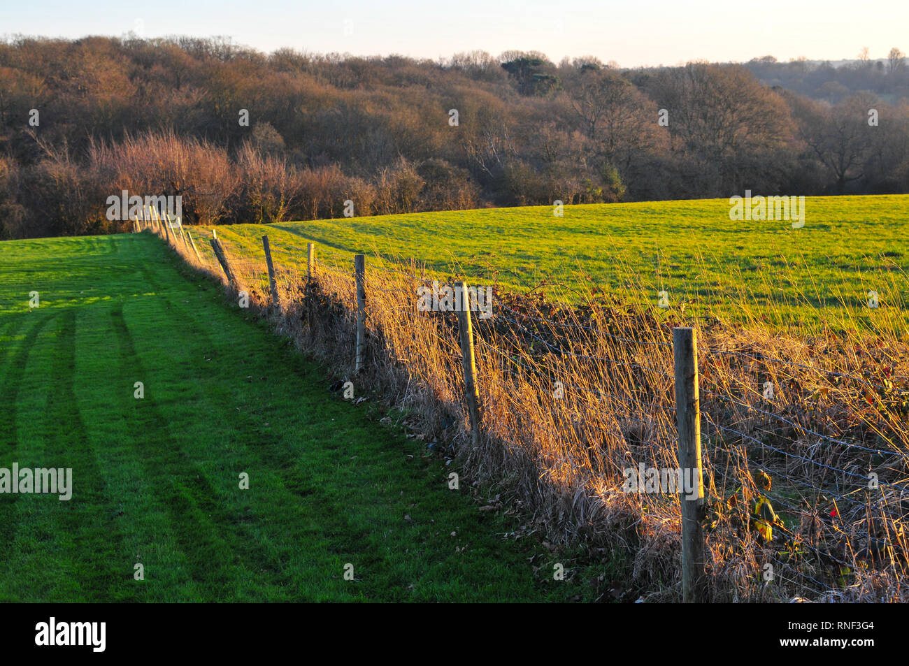 Sonnenuntergang über der Landschaft von Kent im Bidborough, Kent, England, UK. Stockfoto