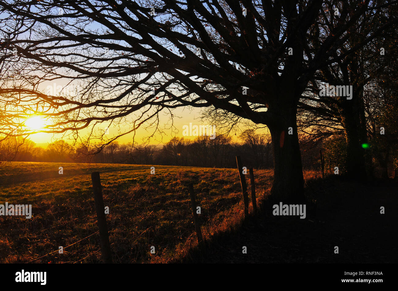 Sonnenuntergang über der Landschaft von Kent im Bidborough, Kent, England, UK. Stockfoto