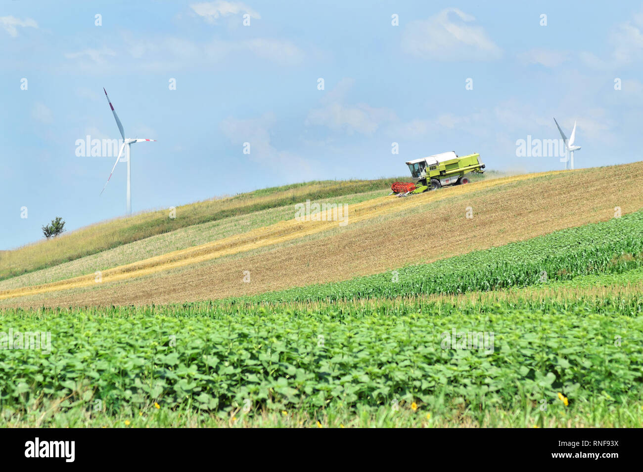 Mähdrescher arbeiten im Ackerland im Frühjahr und Windpark in Abstand Stockfoto