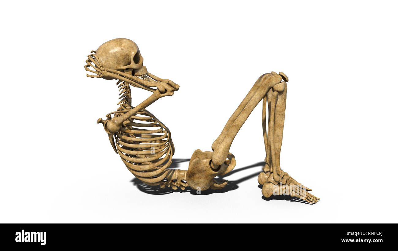 Lustig Skelett zu tun ups, menschliches Skelett Ausübung abs Muskeln