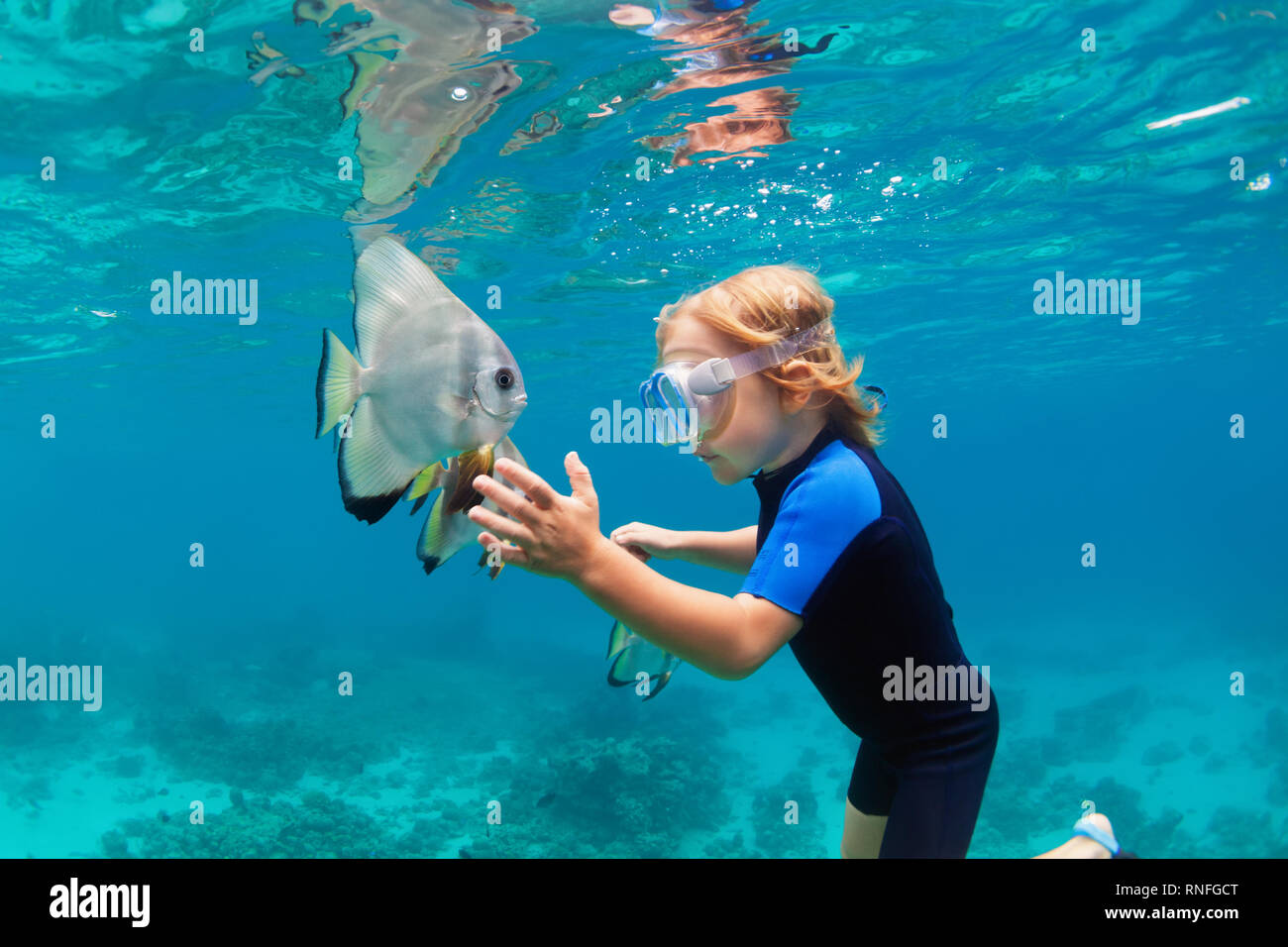 Komischer Fisch Stockfotos Und Bilder Kaufen Alamy