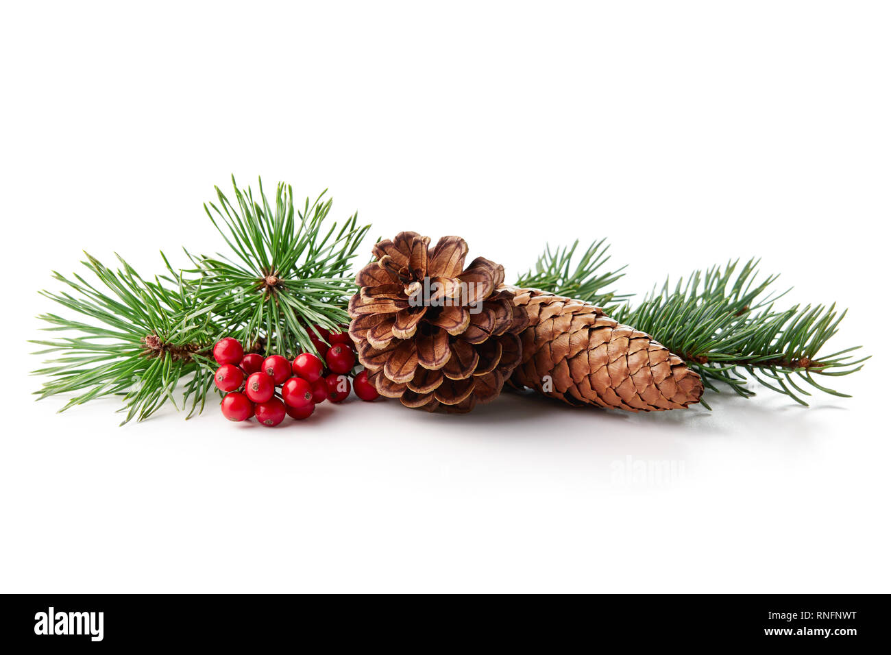 Weihnachtsdekoration von Holly Berry und Pine Cone auf weißem Hintergrund. Stockfoto