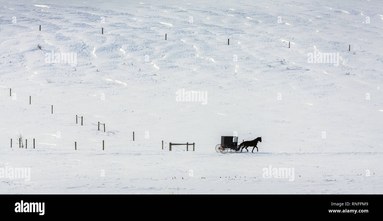 Verschneite Landschaft, Amish Farm Land von Mohawk Valley, New York State, USA. Stockfoto
