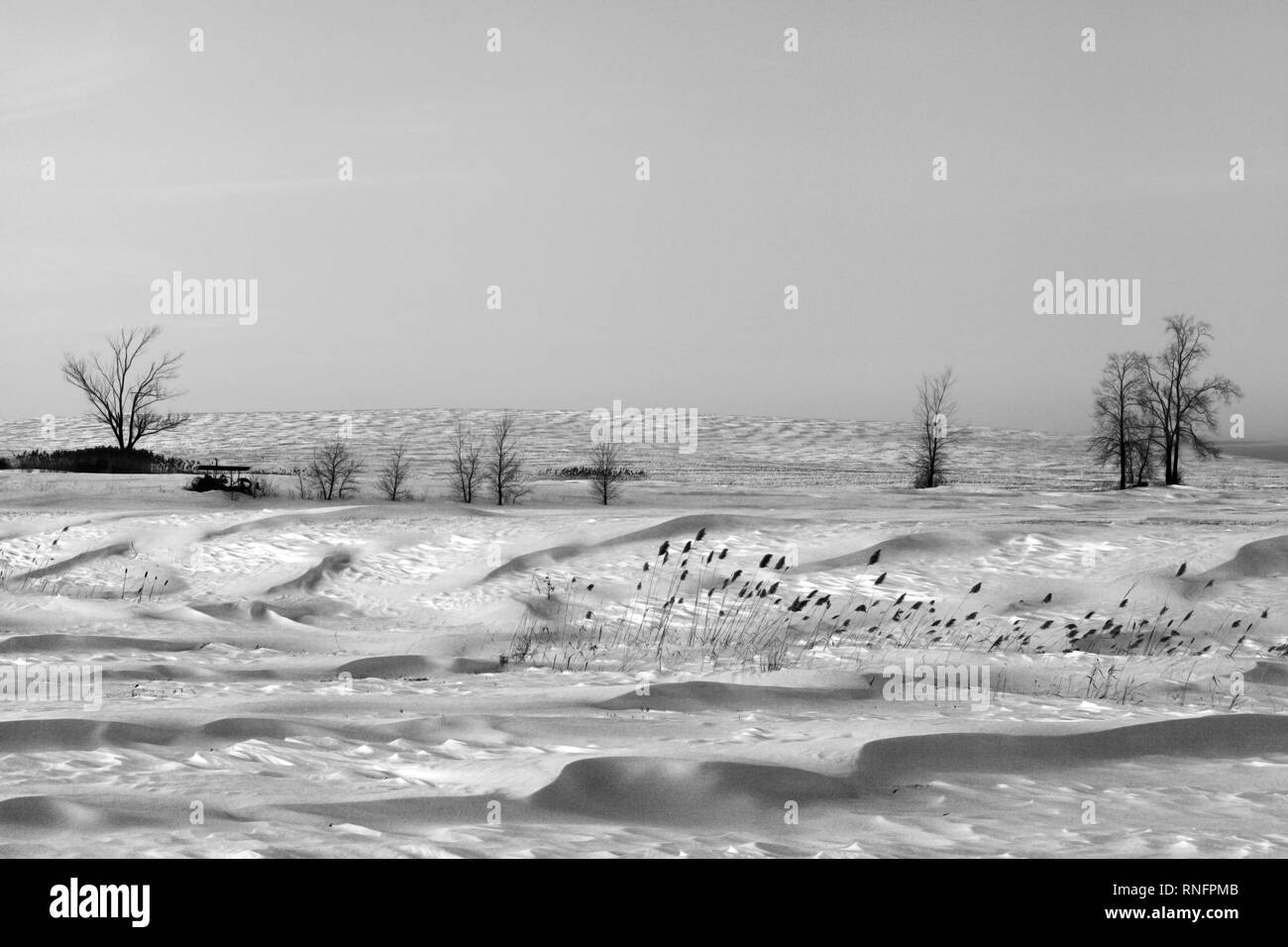 Schnee Landschaft in farm country von Mohawk Valley, New York State, USA geblasen. Stockfoto