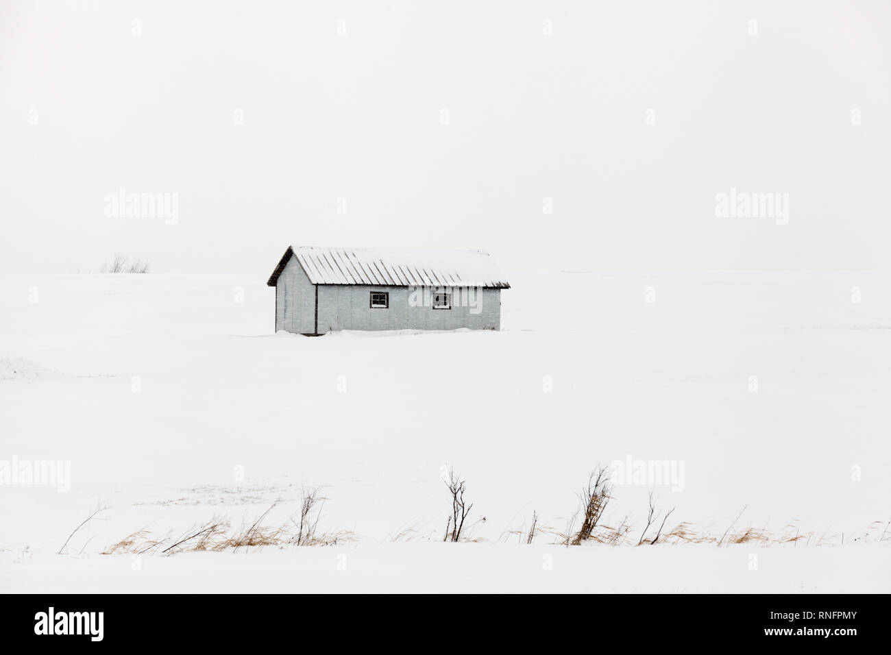 Ein Bauernhof während eines Schneesturms Schuppen, in Mohawk Valley, New York State, USA. Stockfoto