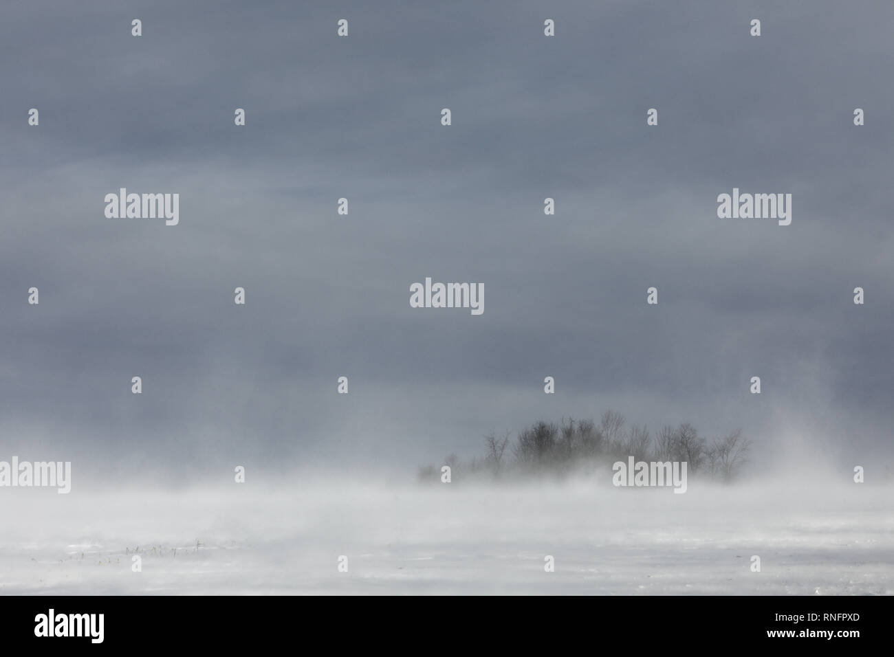 Blizzard, sub-null Wind Schüttelfrost, New York State, USA. Stockfoto