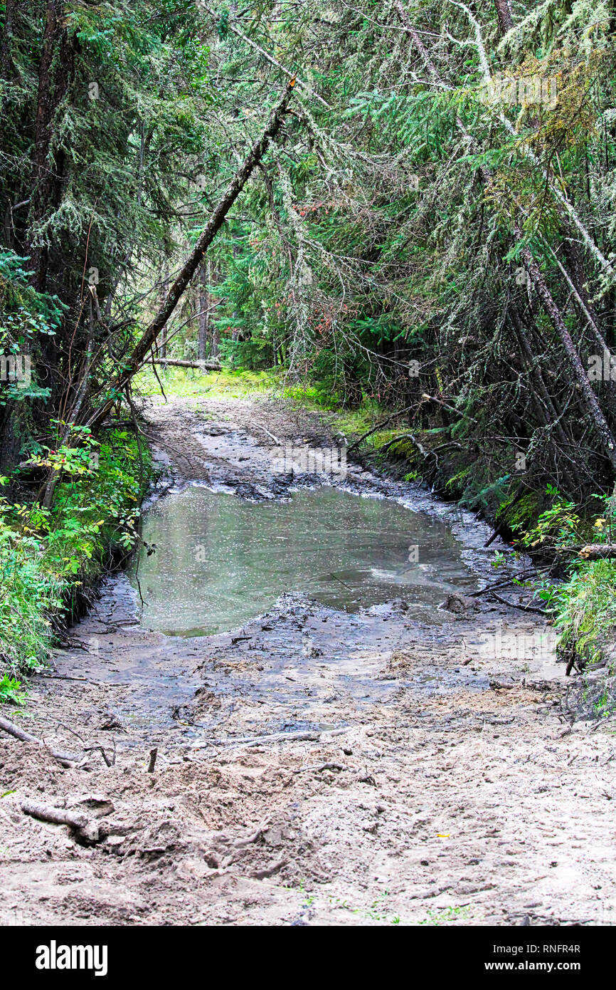 Ein Teil eines ATV Trail durch Wasser und Schlamm gehen Stockfoto