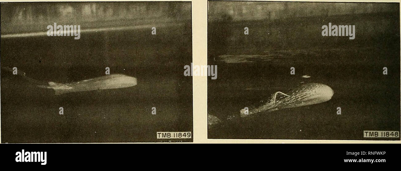 . Analyse der Prüfdaten über die Leistungsmerkmale von Planung und Hubraum schwimmt für die Unterstützung unter Wasser lasten. Abschleppen; Pontons. 22. Abschleppgeschwindigkeit, 3,0 Knoten Abschleppgeschwindigkeit, 5,5 Knoten. Bitte beachten Sie, dass diese Bilder sind von der gescannten Seite Bilder, die digital für die Lesbarkeit verbessert haben mögen - Färbung und Aussehen dieser Abbildungen können nicht perfekt dem Original ähneln. extrahiert. Eisenberg, Phillip; David W. Taylor Model Basin. Washington, DC: Abt. der Marine, David Taylor Modell Becken Stockfoto