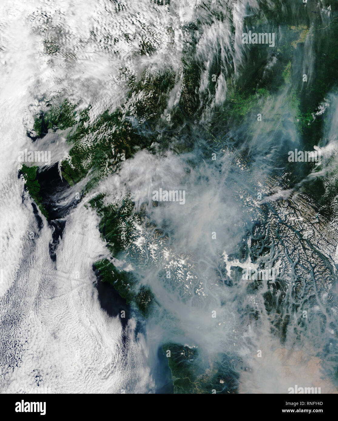 Luftaufnahme der Waldbrände in British Columbia, Kanada Stockfoto
