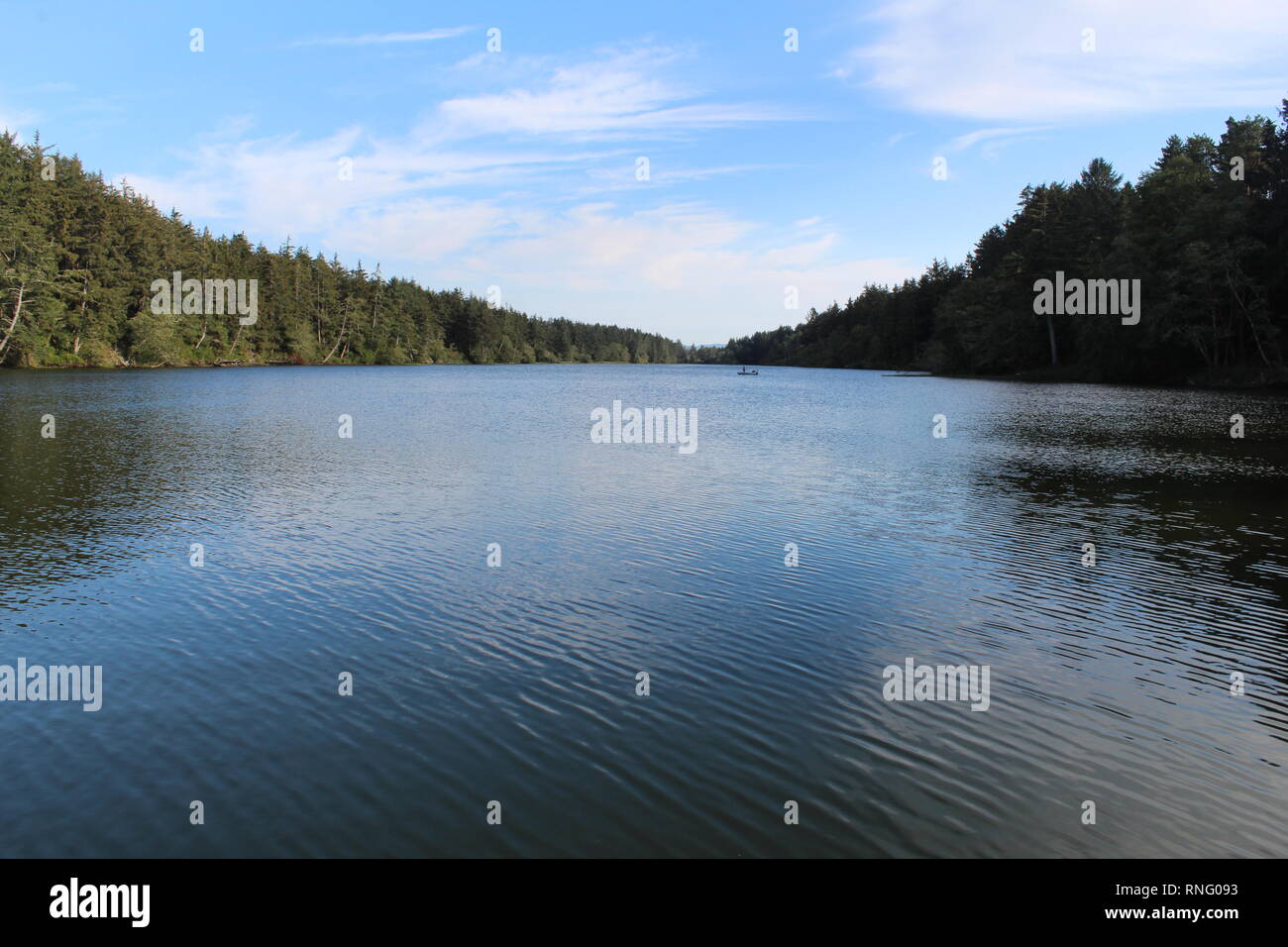 Ruhige PNW See an einem sonnigen Tag. Stockfoto