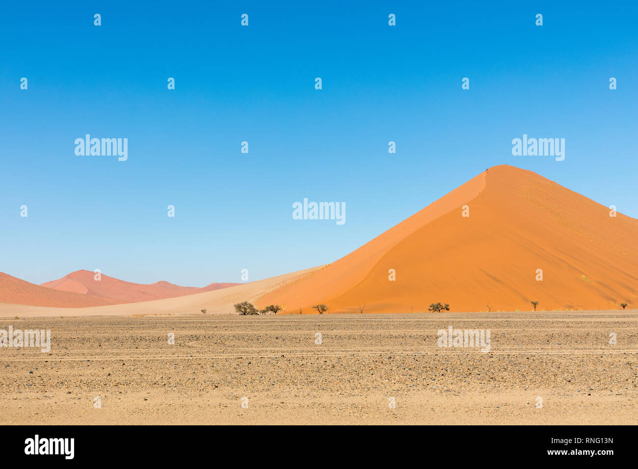 Afrikanische Landschaft, schöne rote Sanddünen genannt Dune 47 in den Namib Naukluft National Park, Sossusvlei, Namibia Stockfoto