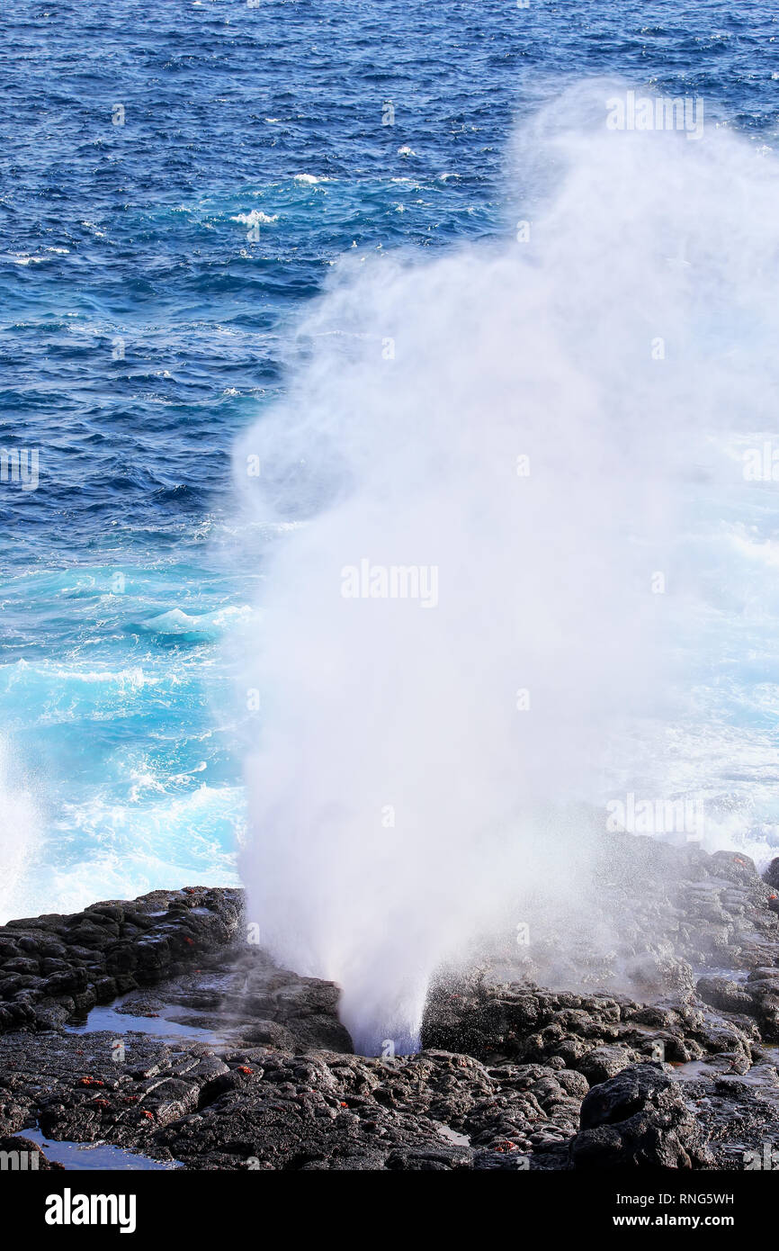 Wasserbrüchen durch Blowhole an der Küste von Espanola Island, Galapagos, Ecuador. Stockfoto