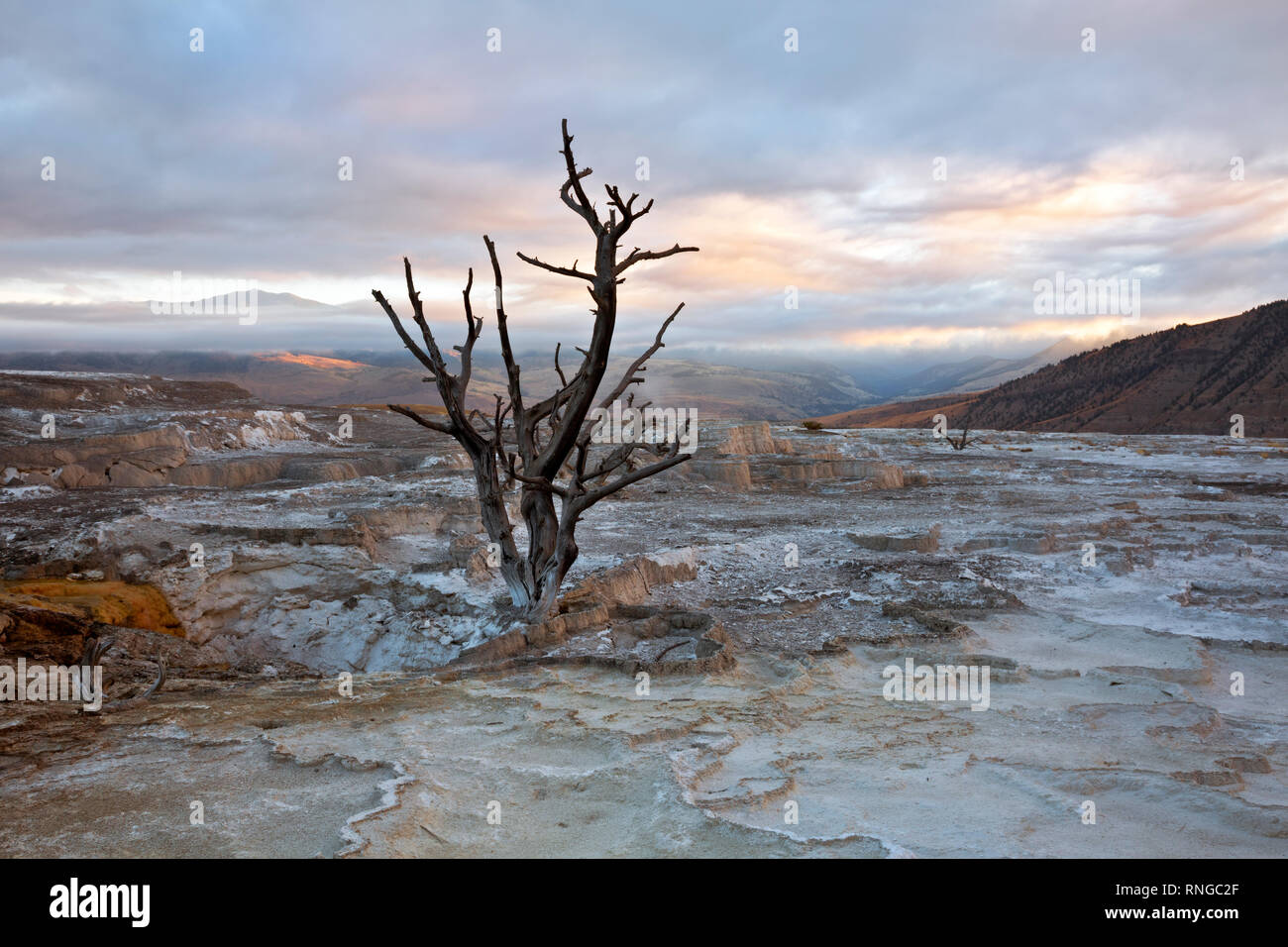 WY 03806-00 ... WYOMING - Sonnenaufgang am oberen Bereich Terrassen von Mammoth Hot Springs, Yellowstone National Park. Stockfoto