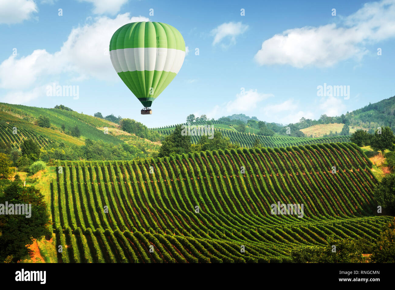 Fantastische ländliche Landschaft mit grünen Ballon unter Weinberg auf Italien Hügel. Weinstock, Hintergrund Stockfoto