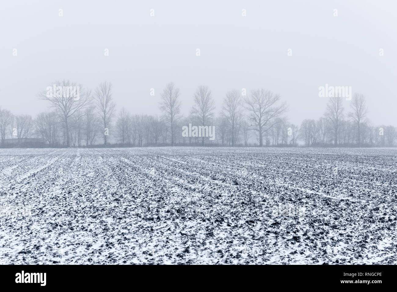 Schneebedeckten Böden für Landwirtschaft Feld im Frühling Stockfoto