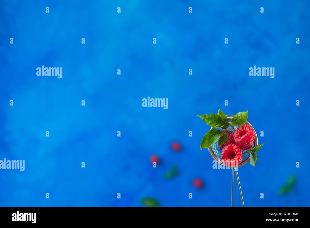 Frische himbeere Beeren in einen Stahl Sieb am pulsierenden blauen Hintergrund mit kopieren. Stockfoto