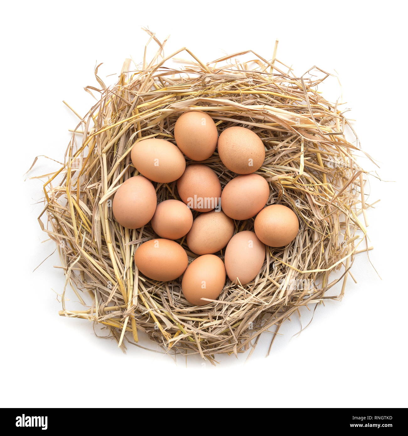 Blick von oben auf die Hühner Eier in ein Nest auf einem weißen Hintergrund. Stockfoto