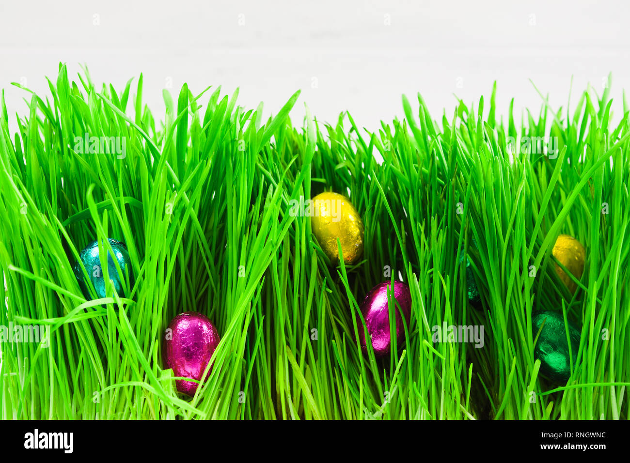 Bunte Ostereier in hellen natürlichen, grünen Gras, selektiven Fokus Stockfoto